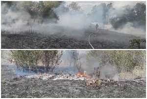 (VIDEO) Incendiu de vegetație uscată, în Costești! 8 page 2 - (VIDEO) Incendiu de vegetație uscată, în Costești!