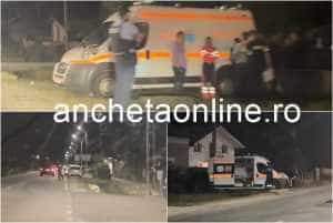 cats - Ucis în propria casă?