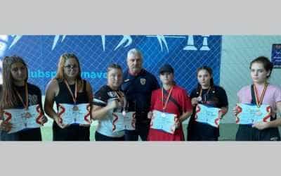 Sursă foto: csmpitesti.ro.