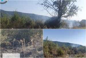 page - Alertă în satul Lacurile! Un incendiu a izbucnit lângă fondul forestier