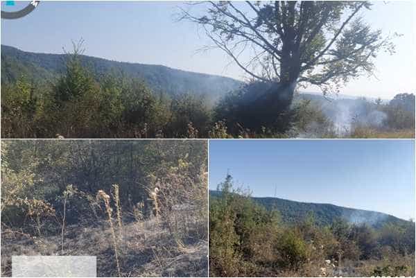 Incendiu lângă fondul forestier