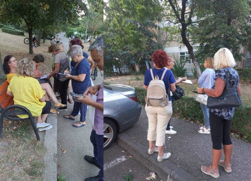 liberali padurea trivale Sursă foto: PNL Pitești.