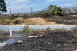 page 1 - Incendiu de proporții în Merișani! Au ars peste 10.000 mp de vegetație