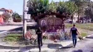 Furt flori troita Tg Ocna - (VIDEO) Doi adolescenți au furat ghivecele cu flori de la o troiță. S-au ales cu dosar penal