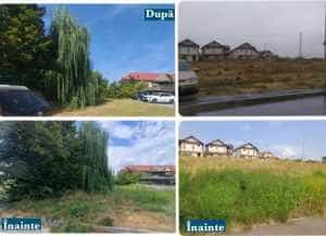 Amenzile pot ajunge până la 20.000 lei. Proprietarii de terenuri au primit somații de la autorități 20 Sursă foto: Facebook Primăria Municipiului Pitești.