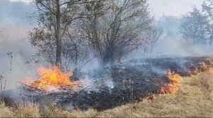 WhatsApp Image 2023 09 15 at 14.12.06 - (VIDEO) Incendiu de vegetație în Suseni!