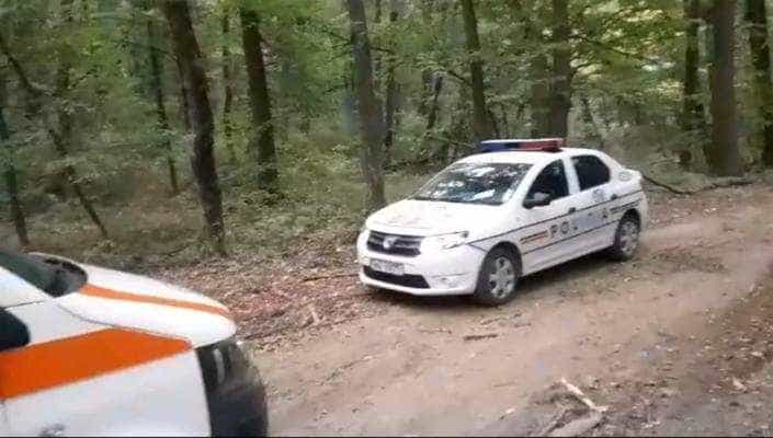 Poliție pădure