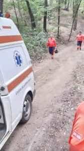 Și-a găsit sfârșitul în pădure! Un tânăr de 32 de ani a murit strivit de un copac 3 2e48c01a fd36 4851 8977 682636ff66d7 - Și-a găsit sfârșitul în pădure! Un tânăr de 32 de ani a murit strivit de un copac