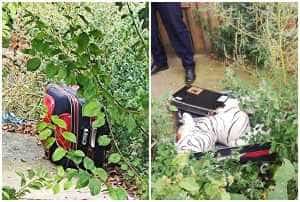 page 3 - Un troler abandonat a pus pe jar autoritățile