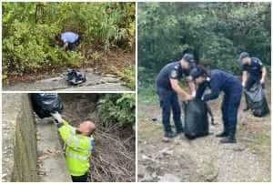 page - (VIDEO) Ziua de Curățenie Națională- marcată de polițiștii și jandarmii argeșeni!