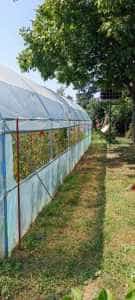 foto buzoesti 1 sept2023 - Furt de apă identificat de SC Apă Canal 2000 SA în comuna Buzoești