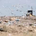 Posibil disconfort olfactiv într-un cartier din Pitești! 14 recileaza Arges