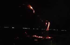 WhatsApp Image 2023 09 25 at 08.28.26 e1695619915606 - (VIDEO) Incendiu de vegetație uscată izbucnit în Buzoești!