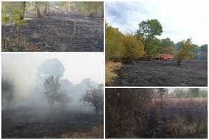 (VIDEO) Incendii de vegetație uscată, tot mai multe în Argeș! 1 page - (VIDEO) Incendii de vegetație uscată, tot mai multe în Argeș!