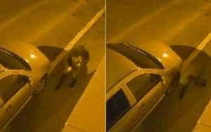 2023 09 26 - Tânăr de 15 ani, suspectat că a tăiat anvelopele a peste 20 de maşini