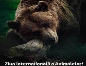 Astăzi. Intrare gratuită la Grădina Zoologică din Pitești! 7 la zoo pitesti