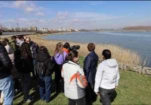 Sursă foto: Facebook Muzeul Județean Argeș.