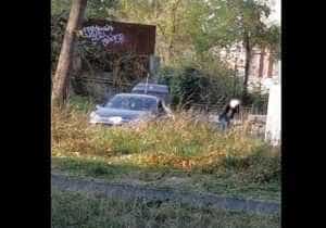 Poliția continuă cercetările. Filmat în timp ce punea dale de ciment în mașină! 15 Sursă foto: print screen filmare Facebook Primăria Municipiului Pitești.