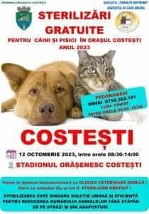 Sterilizări gratuite pentru câini și pisici la Costești 1 sterilizari la Costești
