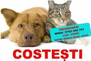 sterilizari la Costești