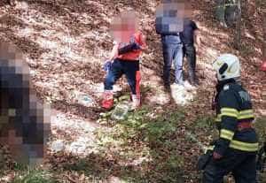 4a12b2a6 00e4 40d1 821a 4bfd908f28a5 - Bărbat găsit mort într-o pădure din Mihăești