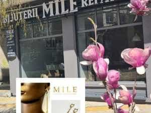 Bijuteria MILE Pitești - Locul unde găsiți cea mai variată gamă de bijuterii din aur și argint 1 Bijuteria MILE