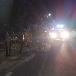 Argeș: Accident între o mașină și o căruță! O victimă este monitorizată! 1 accident 1 - Argeș: Accident între o mașină și o căruță! O victimă este monitorizată!