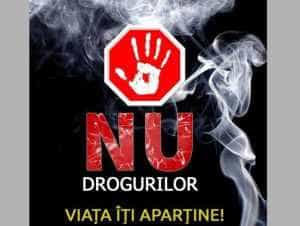 Campanie antidrog desfășurată în Pitești, de Ziua Internațională a Educației! 3 Sursă foto: Facebook Primăria Municipiului Pitești.