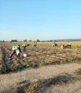 Noi spații de cazare pentru deținuți! 2 detinuti la munca - Noi spații de cazare pentru deținuți!