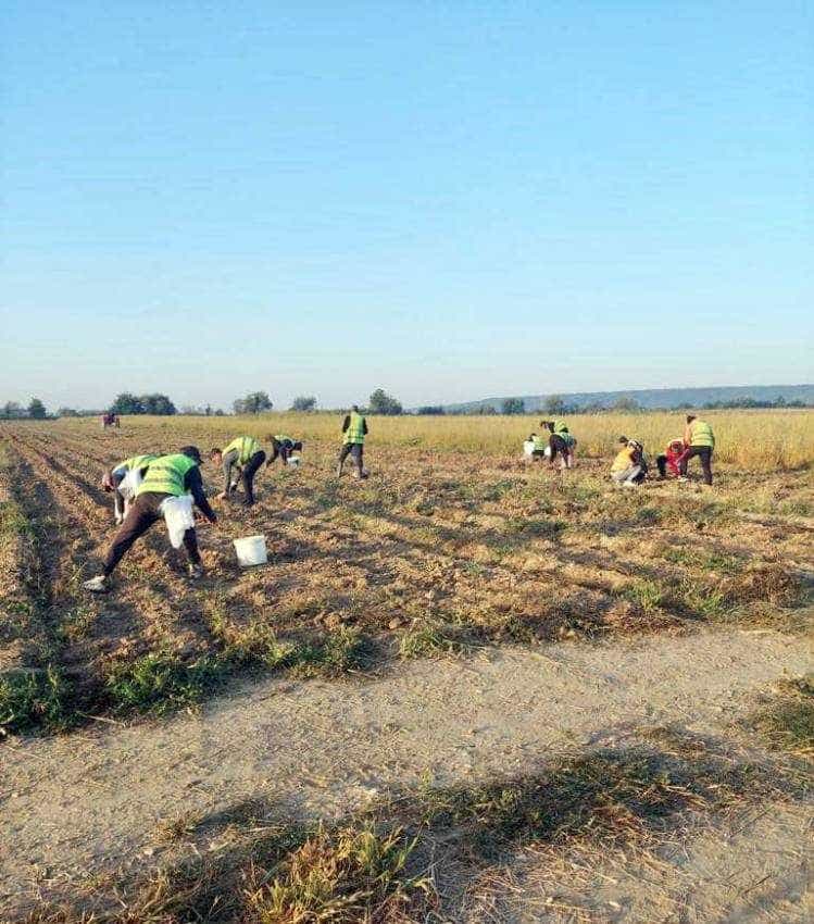 detinuti la munca detinuti la munca