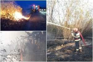 page 1 - (VIDEO) Val de incendii de vegetație uscată, în Argeș: 7 într-o singură zi!