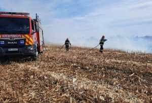 (VIDEO) ACUM! Trei incendii de vegetație uscată în Argeș 27 13185d6c 8a33 46bd a789 e942f1fc0a06 - (VIDEO) ACUM! Trei incendii de vegetație uscată în Argeș