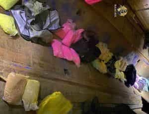 WhatsApp Image 2023 10 10 at 08.58.27 e1696947823987 - Argeș: Cele 231.997 pastile de ecstasy din remorcă-descoperite cu ajutorul a doi câini