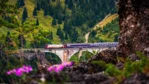 Sursă foto: Facebook CFR Călători.