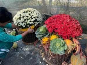 Iată cum arată. Floriștii pregătesc decorurile pentru deschiderea târgului ”Toamna piteșteană” 1 Sursă foto: Facebook Cristian Gentea