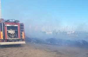 3404e8ed 520e 4b74 9a35 a9f1073c5f3f - ACUM! Incendiu de vegetație uscată pe strada Rafinăriei