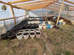 Un bărbat și-a pus nepotul minor să vândă droguri, în Prahova! 3 WhatsApp Image 2023 10 16 at 13.11.10 - Un bărbat și-a pus nepotul minor să vândă droguri, în Prahova!