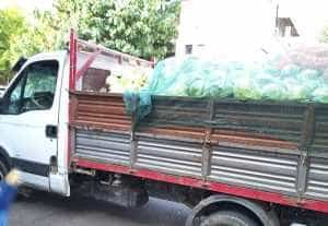 8273acf2 0296 4533 9573 0461df5ccc24 - Pitești: Prins de polițiști când vindea legume direct din mașină! A fost amendat