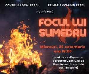 Bradu focul lui Sumedru