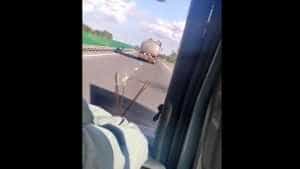 cisterna autostrada - Un șofer ucrainean beat conducea o cisternă în zig-zag pe A2!