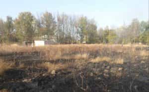 Trei incendii de vegetație uscată au loc în Argeș! 1 WhatsApp Image 2023 10 21 at 16.09.03 e1697895284789 - Trei incendii de vegetație uscată au loc în Argeș!