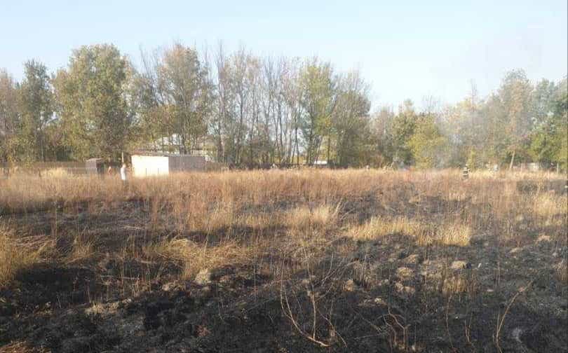 WhatsApp Image 2023-10-21 at 16.09.03