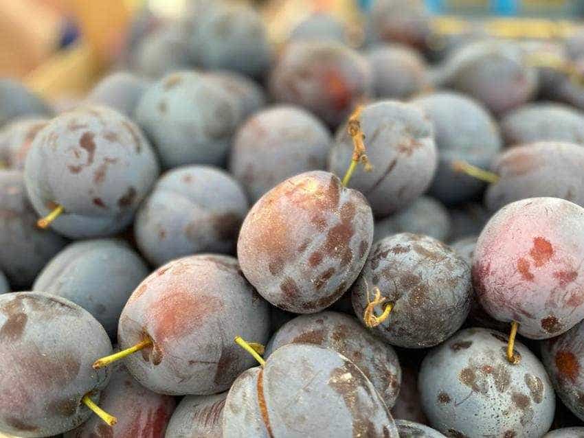 Sursă foto: Primăria Municipiului Pitești.