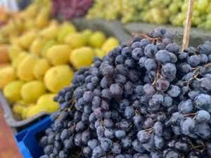 Sursă foto: Primăria Municipiului Pitești.