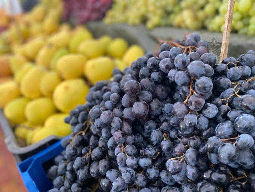 Sursă foto: Primăria Municipiului Pitești.