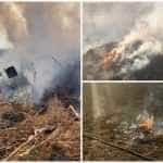 Incendii de vegetație