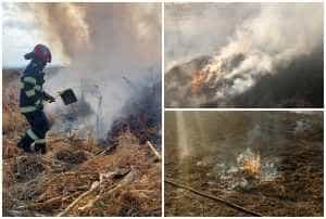 Argeș: Șase incendii de vegetație uscată, în ultimele 24 de ore! 1 Incendii de vegetație