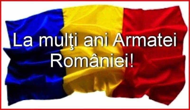 mesaj Bica mesaj Bica