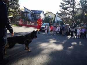 912e2871 116a 48f9 b80b 4a46affe2113 - „Școala Altfel”: Pompierii argeșeni au fost vizitați de sute de copii!