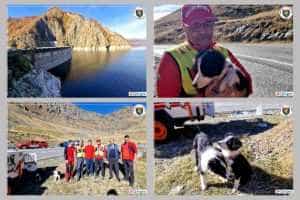 Argeș - Tabăra Națională de pregătire a unităților canine pentru căutarea în mediu natural 5 Untitled Project 1 - Argeș - Tabăra Națională de pregătire a unităților canine pentru căutarea în mediu natural